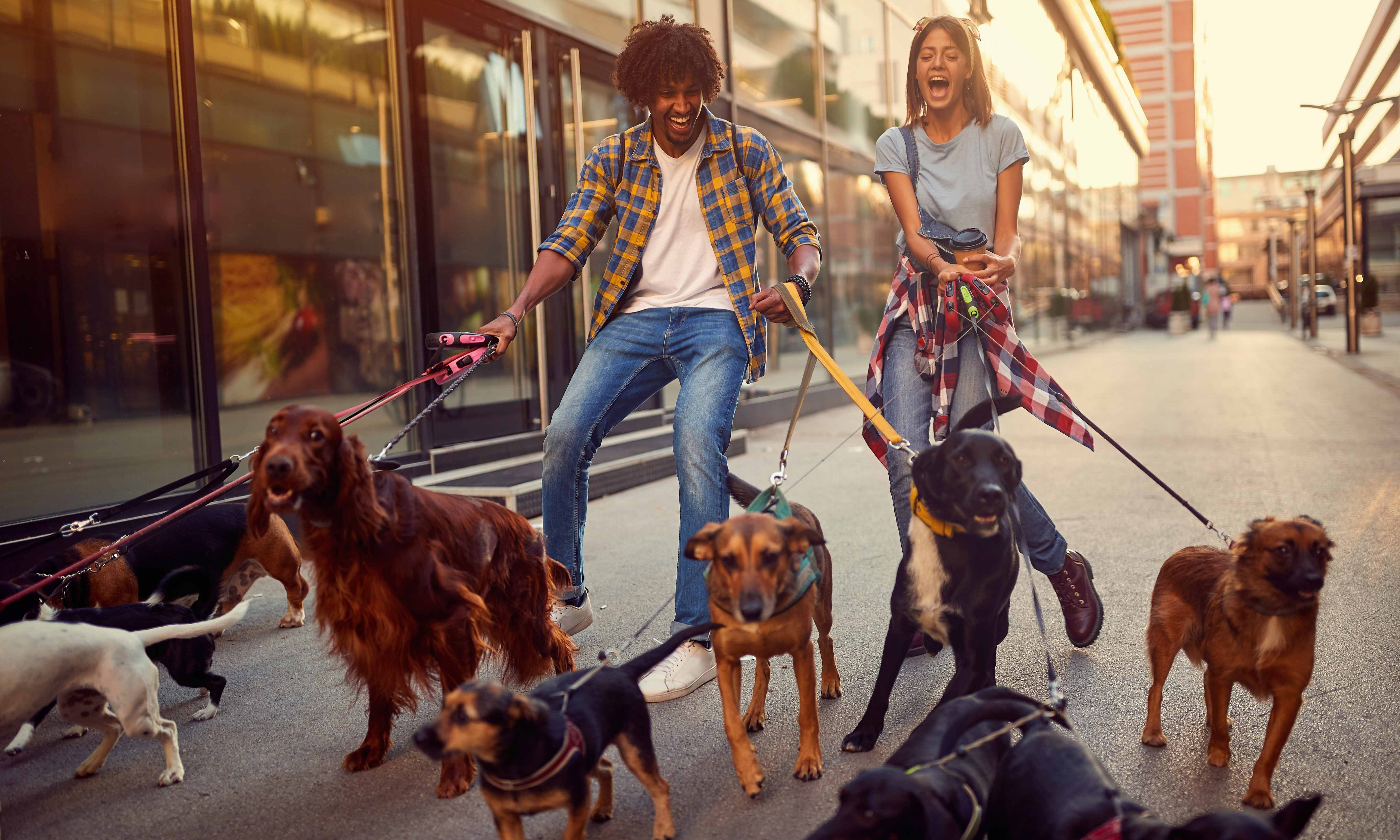 18 Side Hustles for College Students