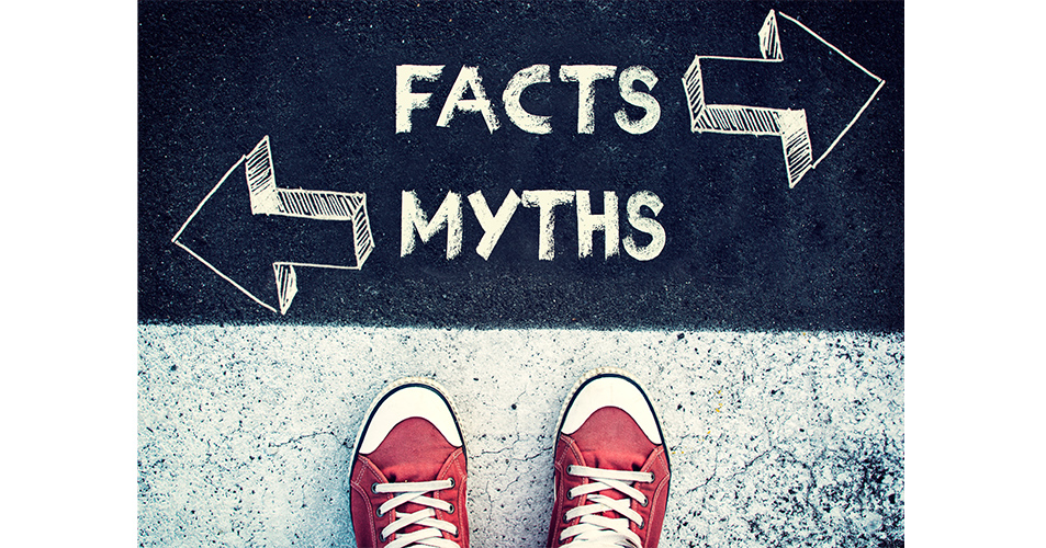 Sidewalk painted with the words “Myth” and “Fact”