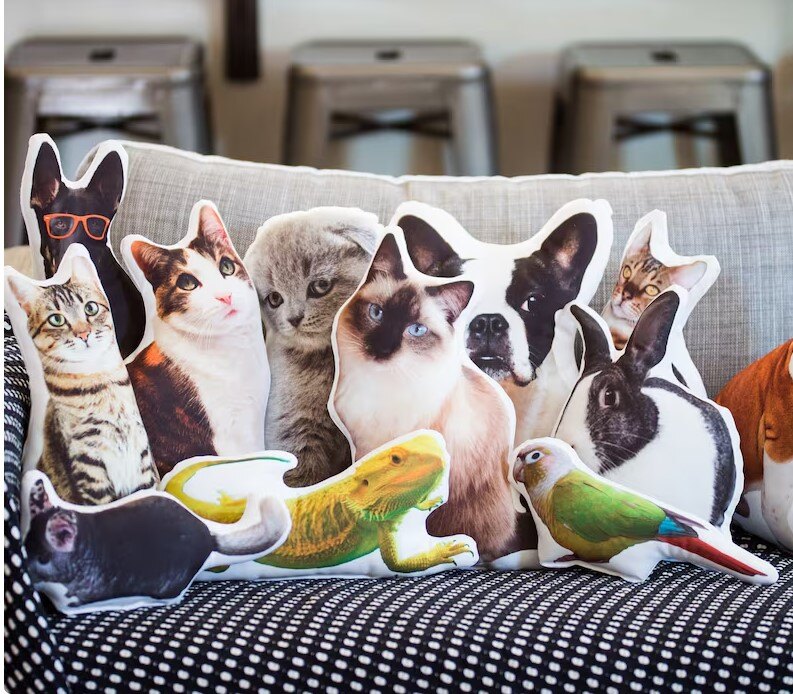 cat-pillows